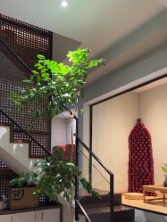 -香秀空间科技抗衰·美容中心