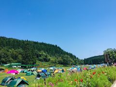 -武陵山森林公园