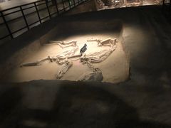 -洛阳周王城天子驾六博物馆