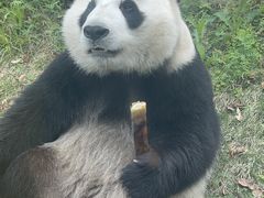 -武汉动物园