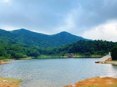 -大姆山草场