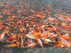 -北戴河圣蓝海洋公园