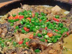 -老板恋上鱼(恒隆广场店)