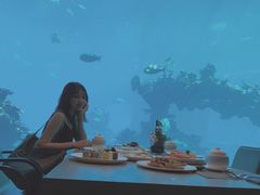 -涛·海底餐厅·美人鱼·自助餐·海底隧道(三亚海棠湾洲际度假酒店)