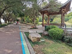 -光明港公园