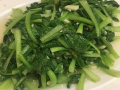 -嘉豪淮海国际豪生酒店