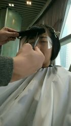 -威拉发艺