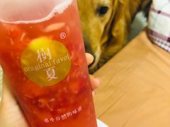 -树夏(建设路店)