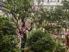 -石家庄市植物园