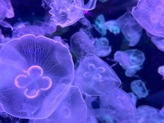 -多彩贵州城极地海洋世界