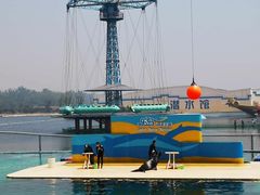 -秦皇岛乐岛海洋王国