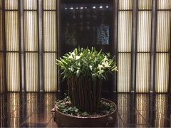 iphone_upload_pic-上海璞麗酒店
