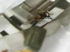 -千家粗粮王(MOMOPARK店)