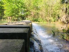 -桤木河湿地公园