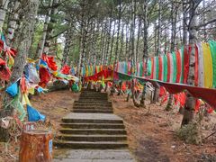 -康定跑马山风景区