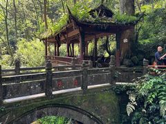 -青城山