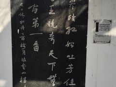 -洛阳市隋唐城遗址植物园