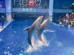 -锦艺城海洋馆