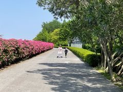 -上海滨江森林公园