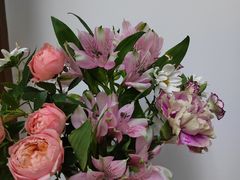 -弗劳尔花艺坊(龙涛店)