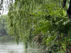 -浙江西子宾馆·瑶园咖啡厅