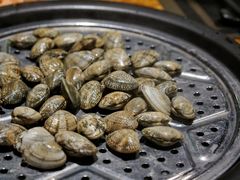 花蛤-船奇蒸汽海鲜·闽菜(八市海鲜总店)