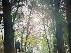 -云龙山