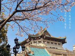 -武汉大学-樱园