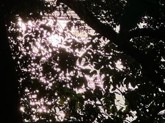 -深圳龙华星河COCO City(民治店)