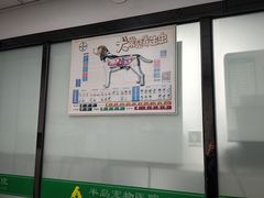 -半岛宠物医院24小时(科华中路店)