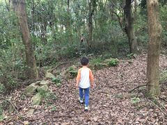 -平湖九龙山旅游度假区