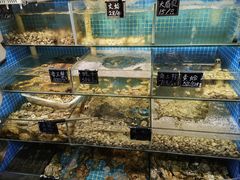 -北戴河庆山饭店·海鲜砂锅粥(北戴河黑石路店)
