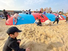 -季高兔窝窝亲子园(上海薰衣草公园店)