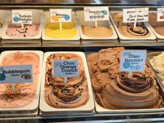 -Dooley's Premium Ice Cream