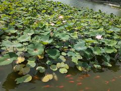 -西海子公园
