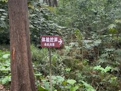 -同里国家湿地公园
