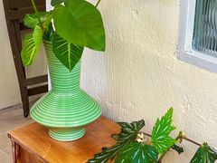 -绿小院(荔湾店)