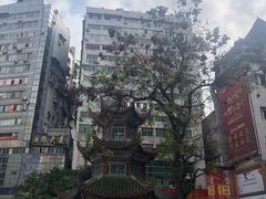 -万县面馆(高笋塘店)