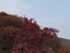 -水峪民俗村