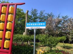 -青龙湖公园