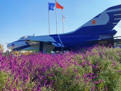-成飞公园
