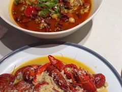 -杨氏青龙虾·羊蝎子(托乐嘉店)