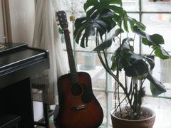 -参差咖啡(水果湖公园店)