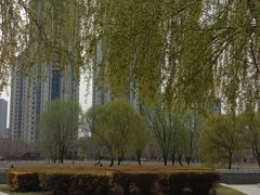 -长白岛森林公园