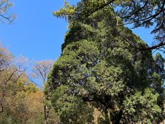 -崂山九水游览区