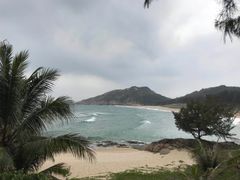 -广东惠东海龟国家级自然保护区