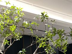 -金春禧(世茂国际广场店)