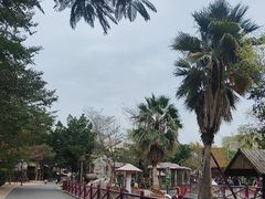 -灵玲国际马戏城