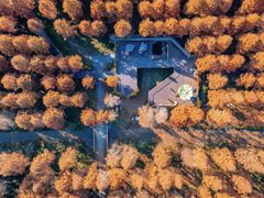 -黄海国家森林公园