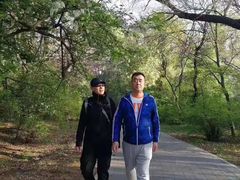 -丁香湖公园